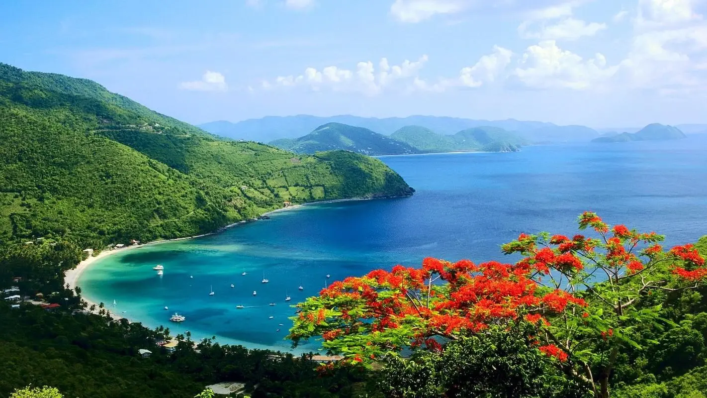 全自动智能高标准